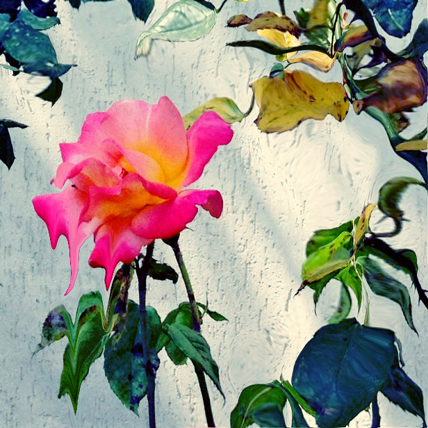 Cellular Memories Exhibition 24 - 107