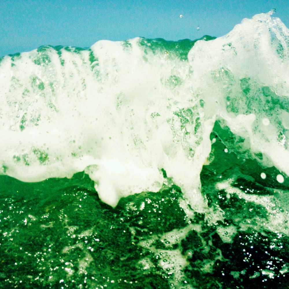 Cellular Memories Exhibition 24 - 108