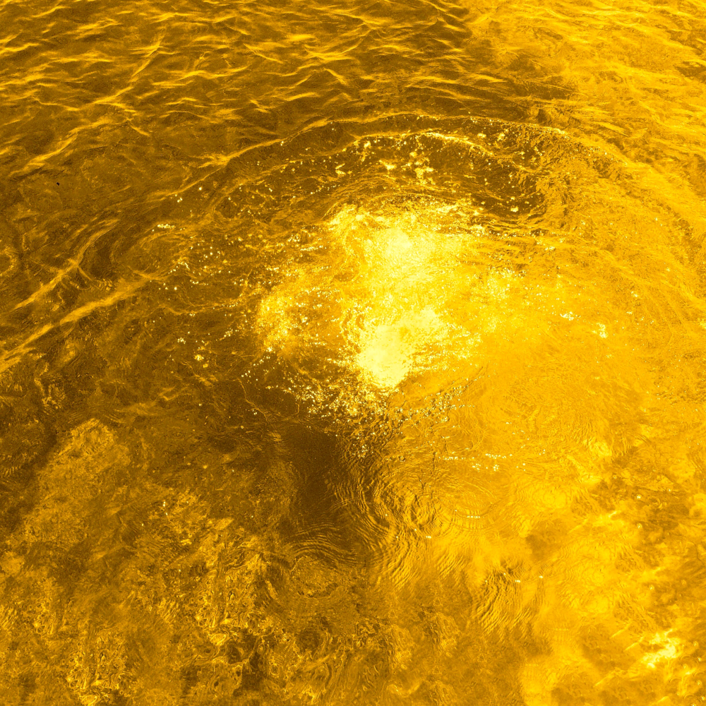 Cellular Memories Exhibition 24 - 130