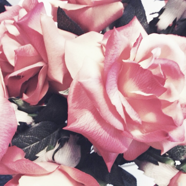 Cellular Memories Exhibition 24 - 136