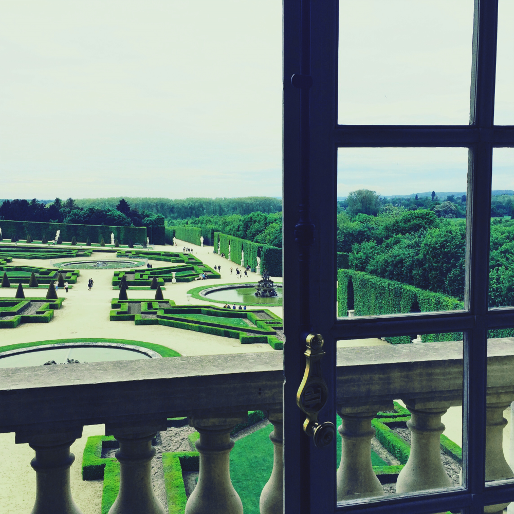 Cellular Memories Exhibition 24 - 14