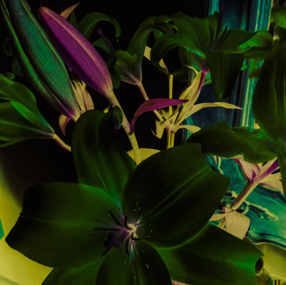 Cellular Memories Exhibition 24 - 149