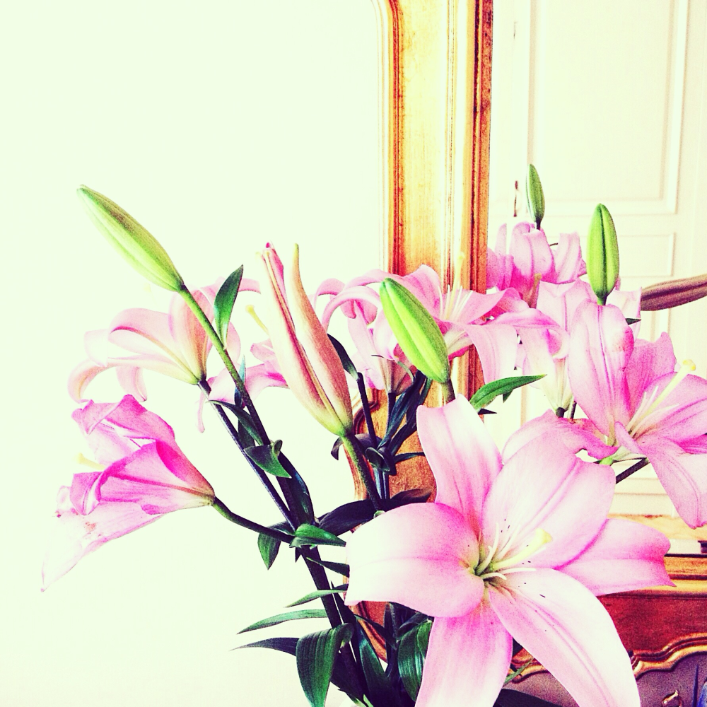 Cellular Memories Exhibition 24 - 150