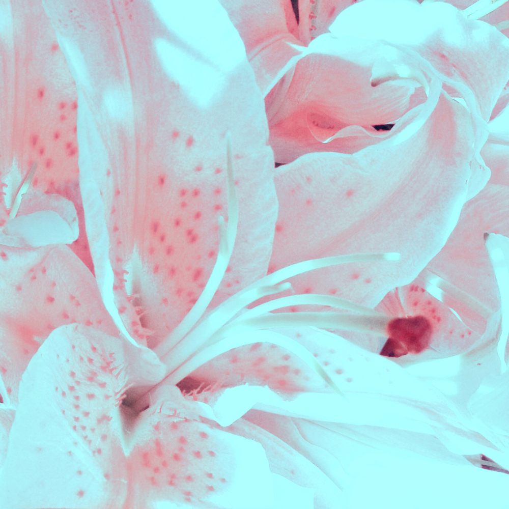 Cellular Memories Exhibition 24 - 151