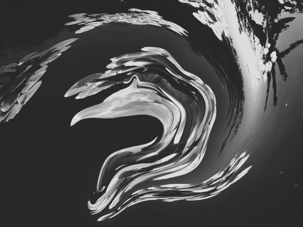 Cellular Memories Exhibition 24 - 168