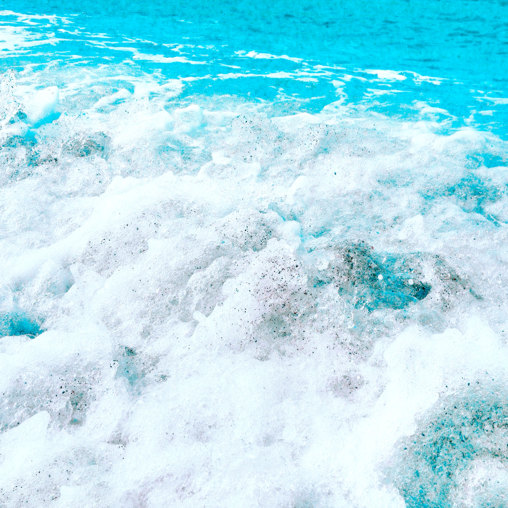 Cellular Memories Exhibition 24 - 49