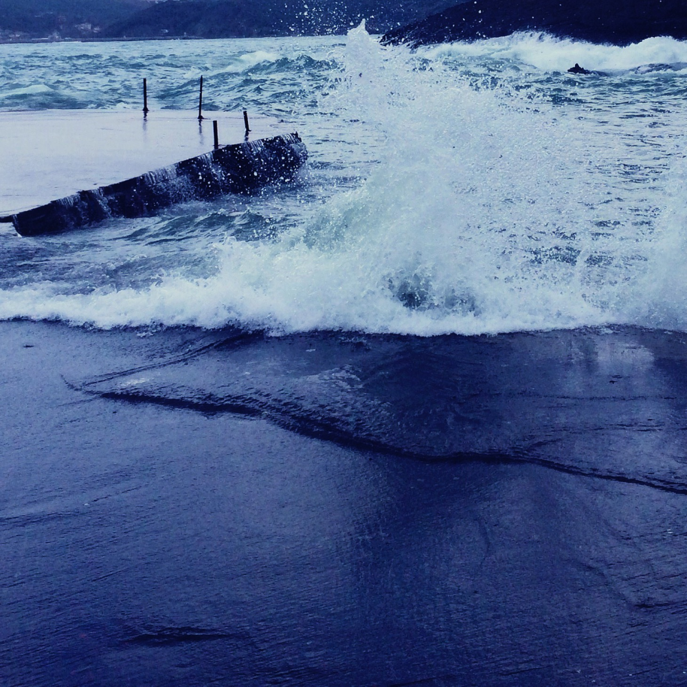 Cellular Memories Exhibition 24 - 55