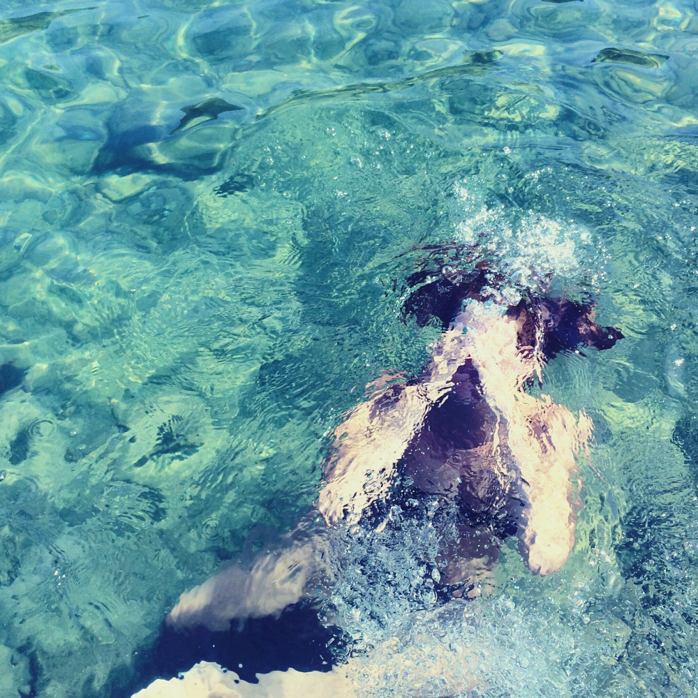 Cellular Memories Exhibition 24 - 6