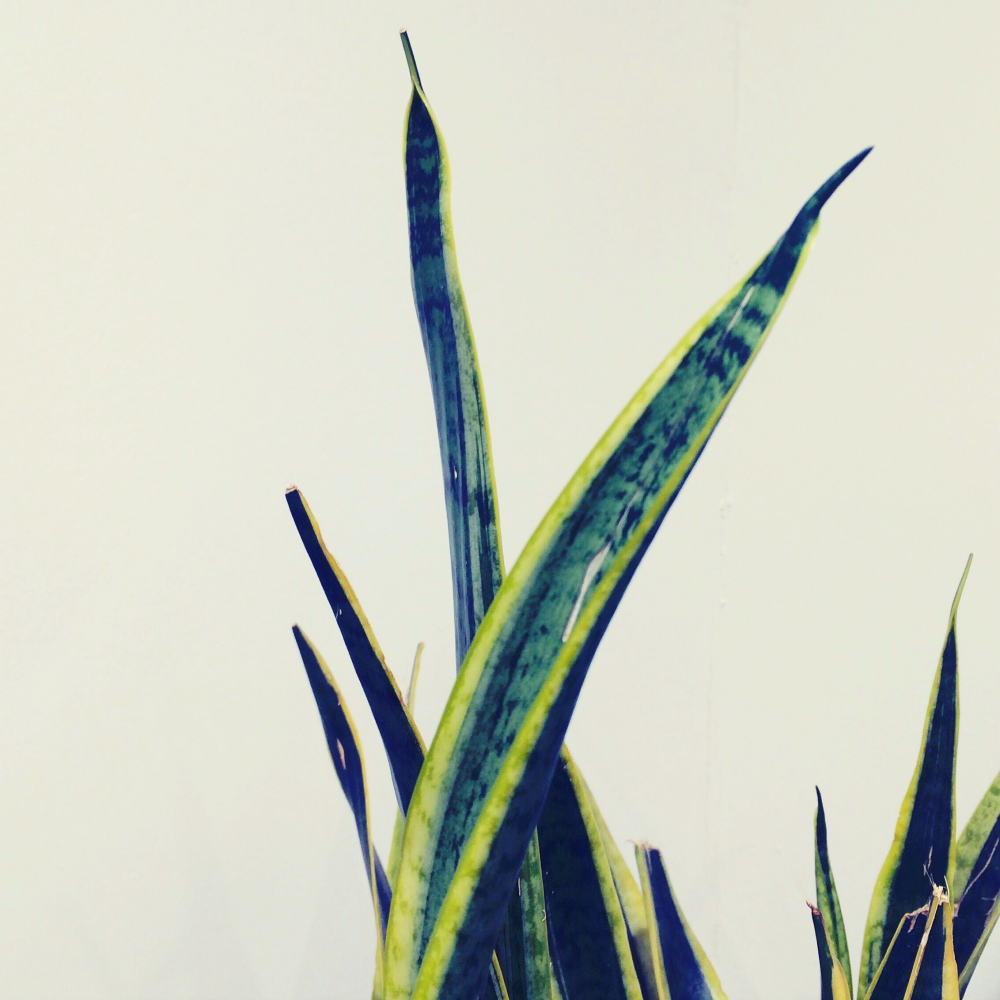 Cellular Memories Exhibition 24 - 60