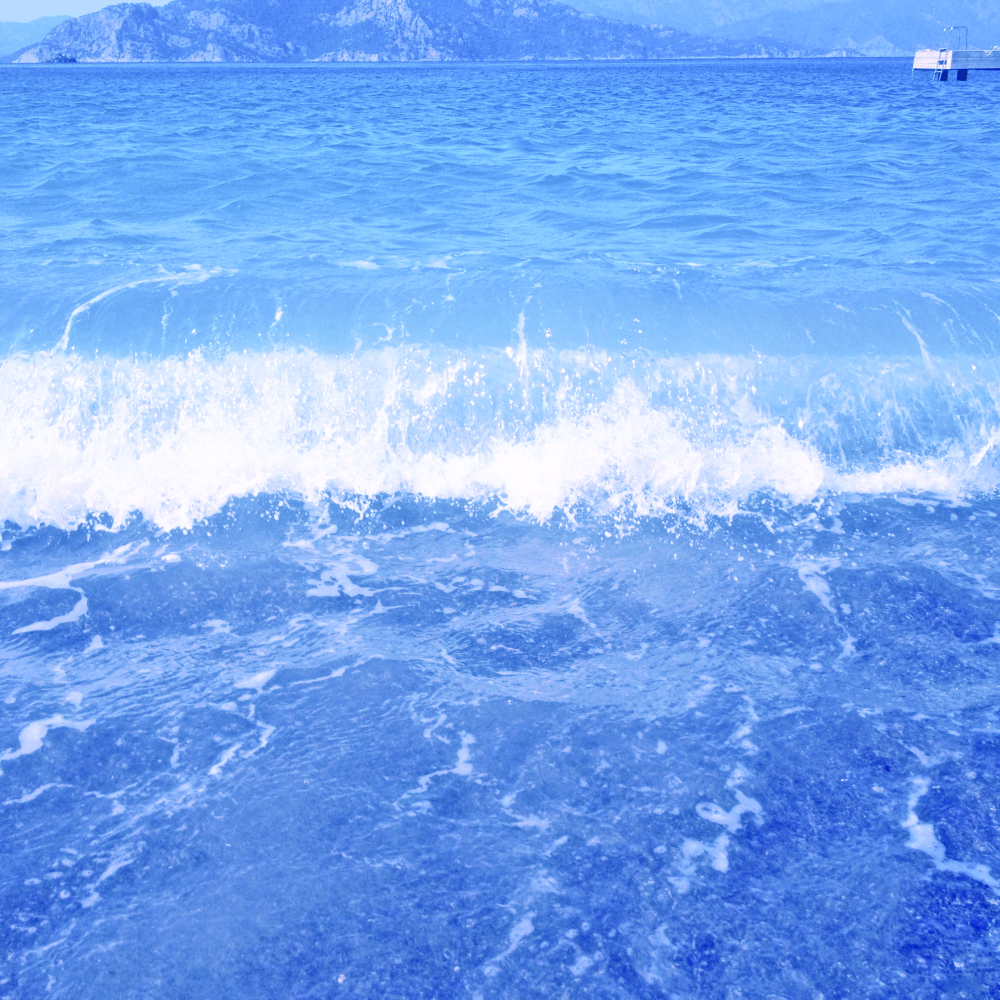 Cellular Memories Exhibition 24 - 99