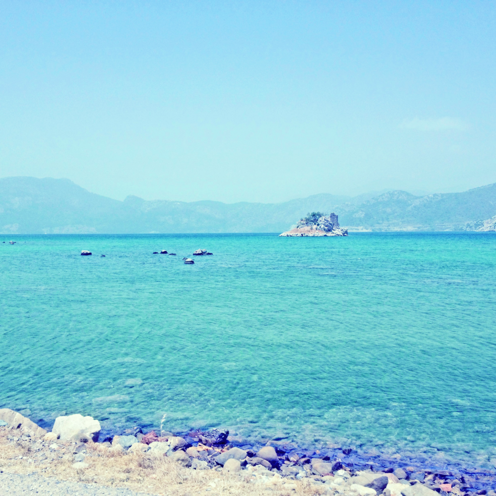 Cellular Memories Exhibition 26 - 110