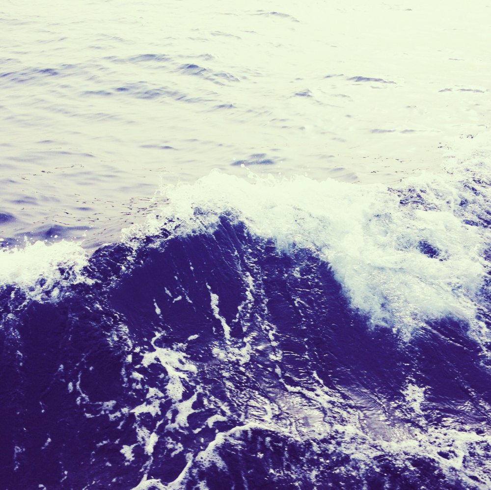 Cellular Memories Exhibition 26 - 112