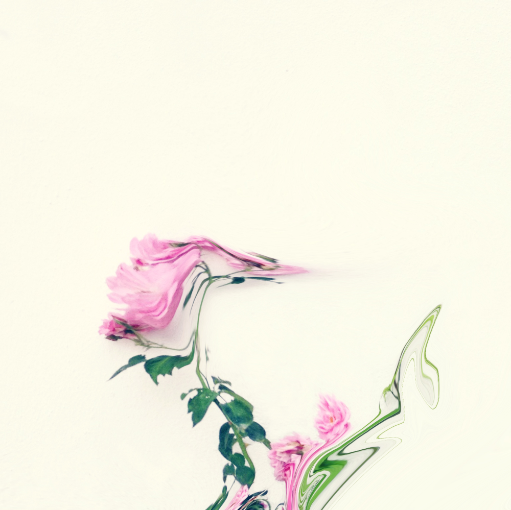 Cellular Memories Exhibition 26 - 115