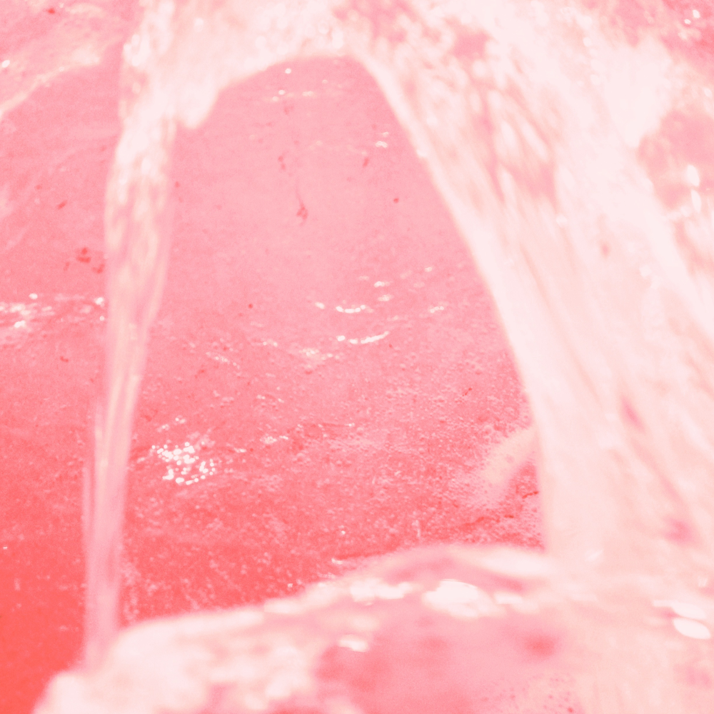 Cellular Memories Exhibition 26 - 125