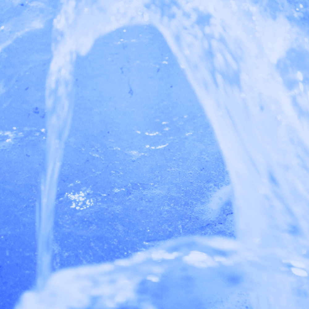 Cellular Memories Exhibition 26 - 127