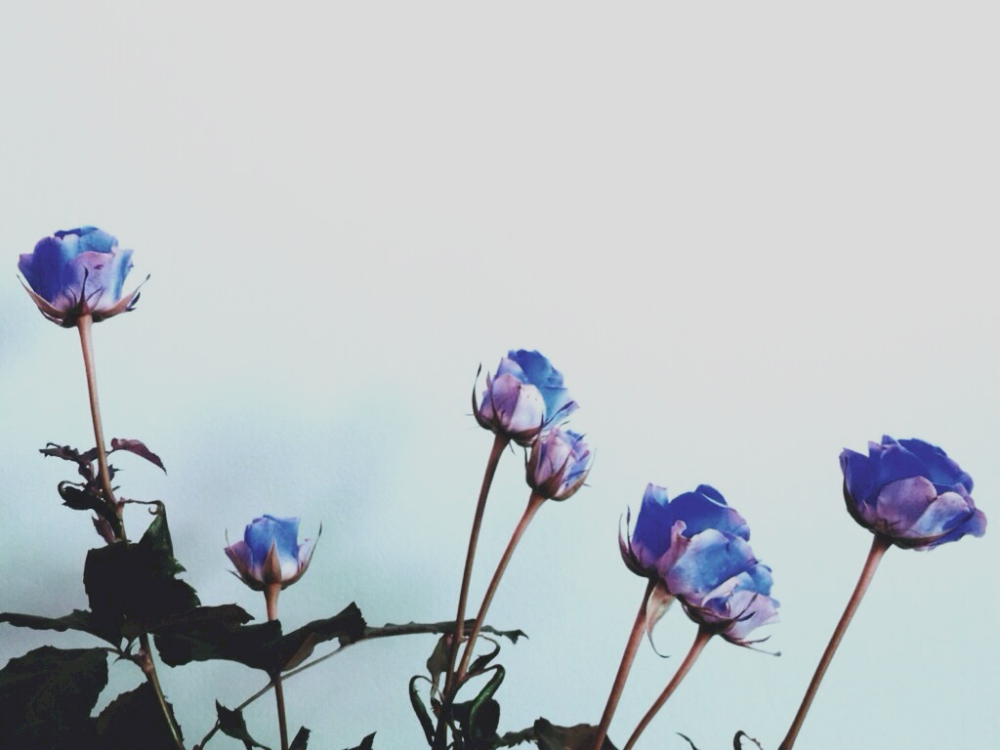 Cellular Memories Exhibition 26 - 135