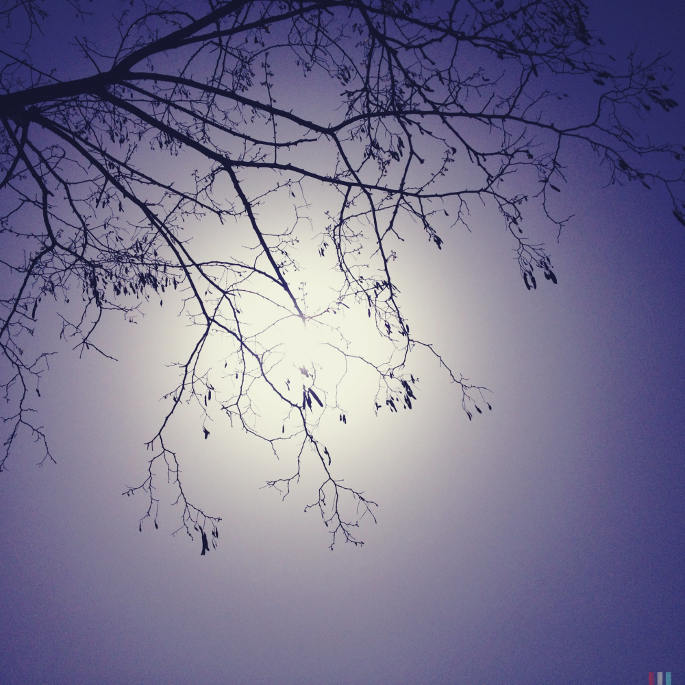 Cellular Memories Exhibition 26 - 138