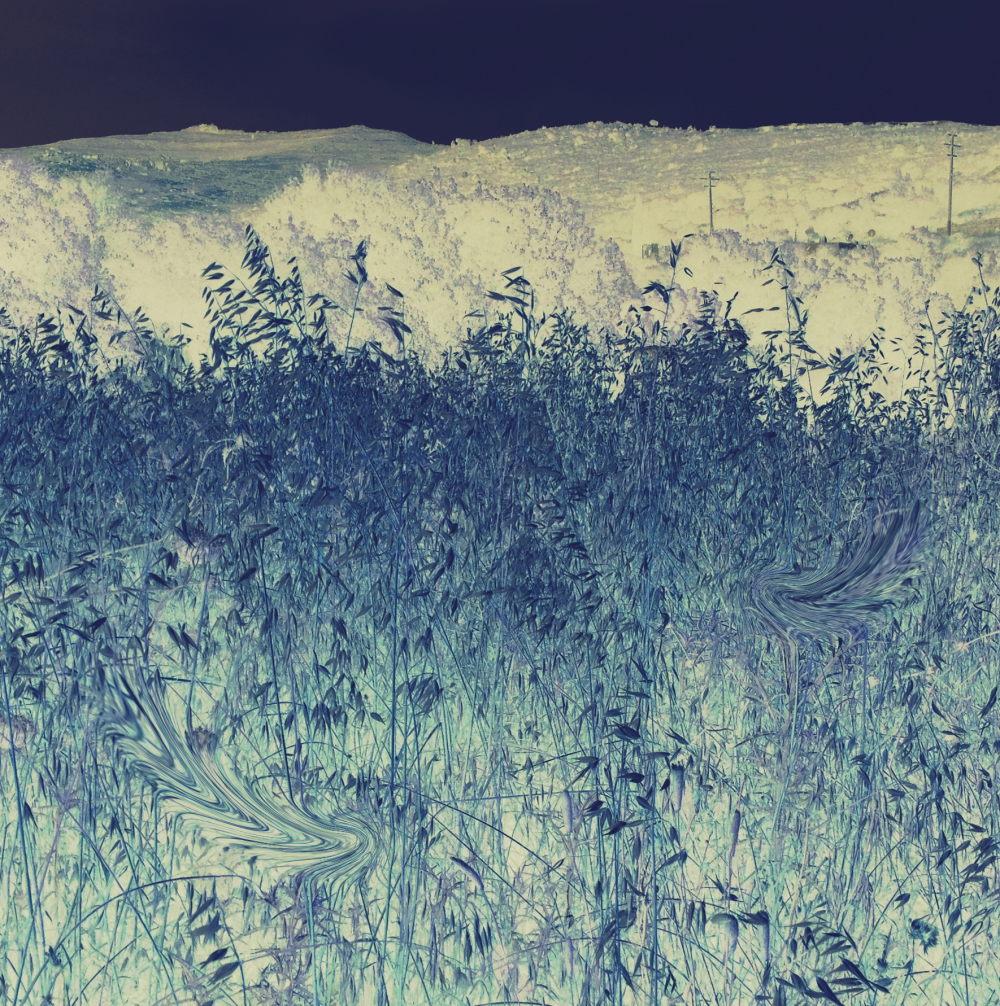 Cellular Memories Exhibition 26 - 140