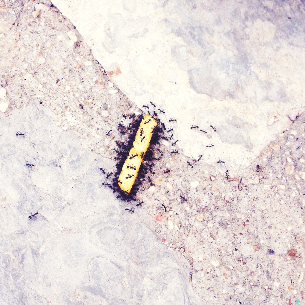 Cellular Memories Exhibition 26 - 142