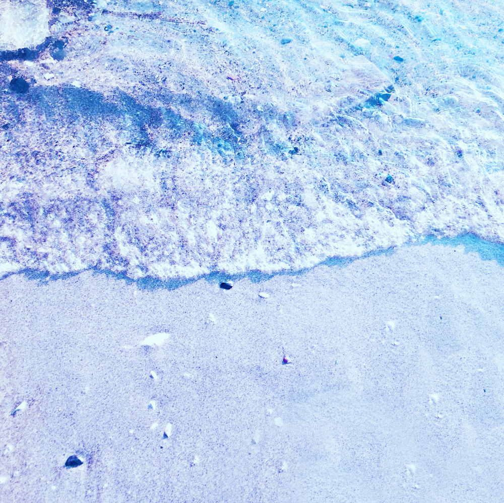 Cellular Memories Exhibition 26 - 152