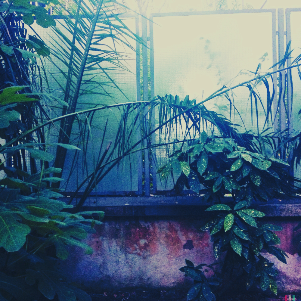 Cellular Memories Exhibition 26 - 158