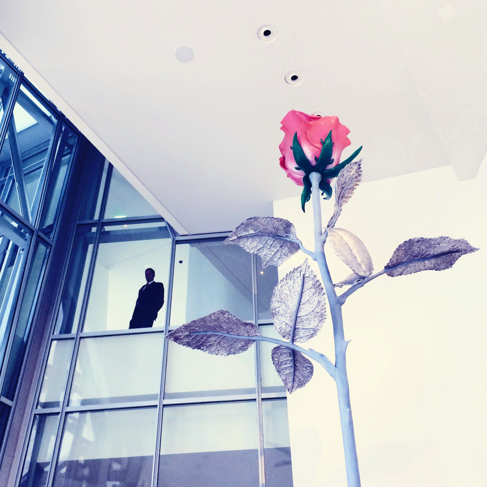 Cellular Memories Exhibition 26 - 16