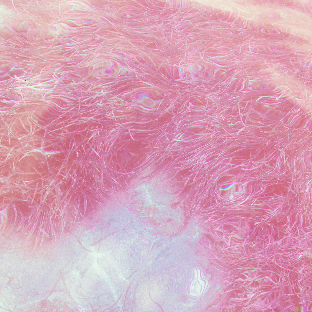 Cellular Memories Exhibition 26 - 162