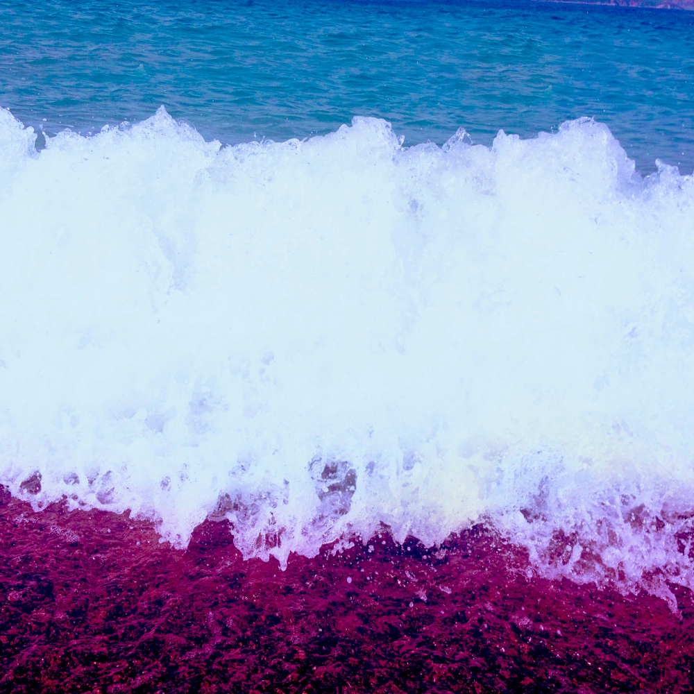 Cellular Memories Exhibition 26 - 163