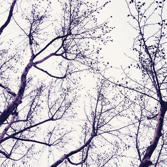 Cellular Memories Exhibition 26 - 165