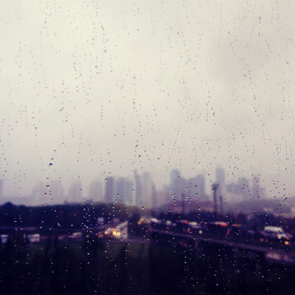 Cellular Memories Exhibition 26 - 167