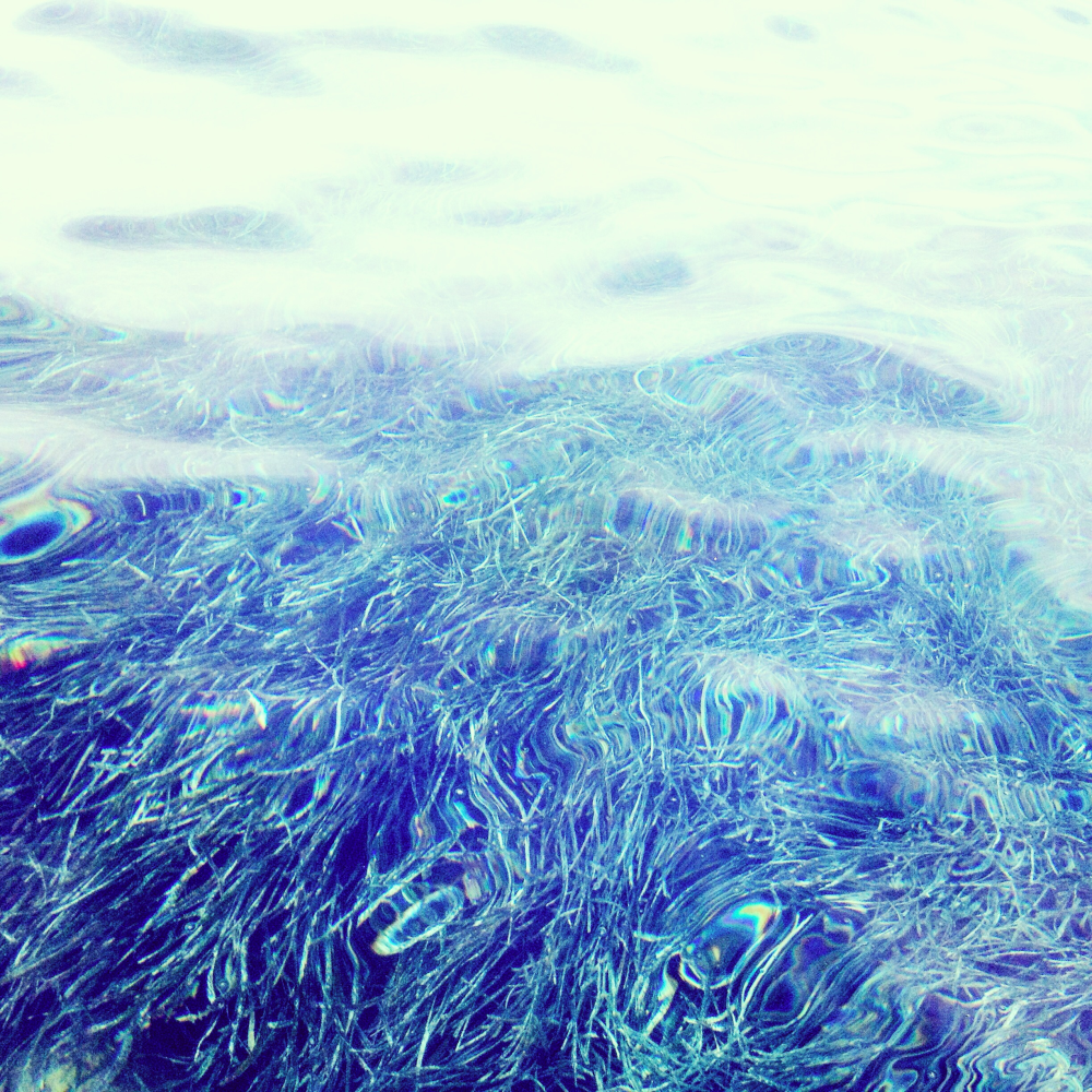 Cellular Memories Exhibition 26 - 179