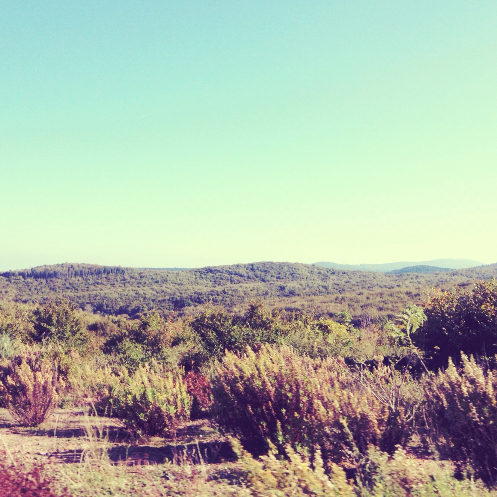 Cellular Memories Exhibition 26 - 183