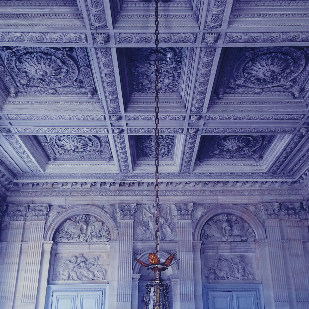 Cellular Memories Exhibition 26 - 19