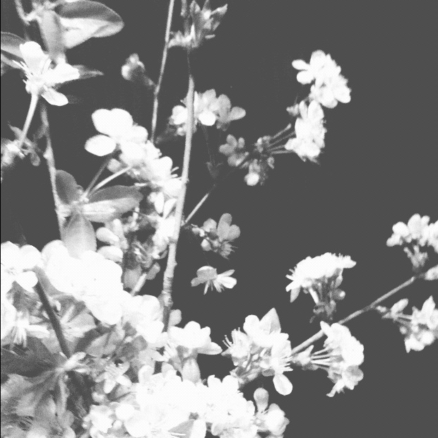 Cellular Memories Exhibition 26 - 192