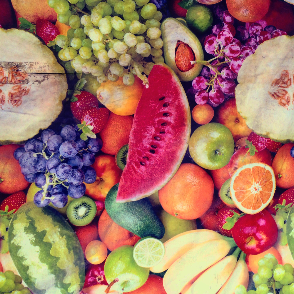 Cellular Memories Exhibition 26 - 26