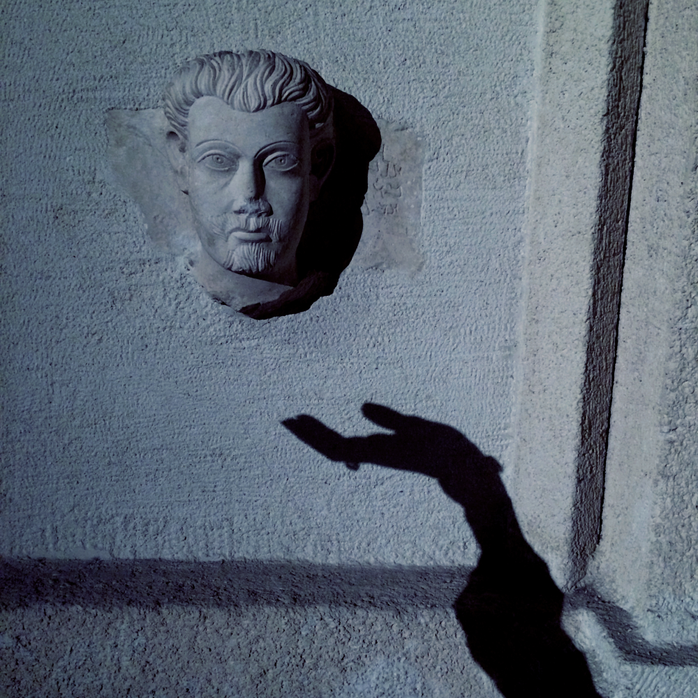 Cellular Memories Exhibition 26 - 28