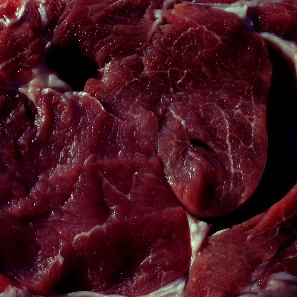 Cellular Memories Exhibition 26 - 31