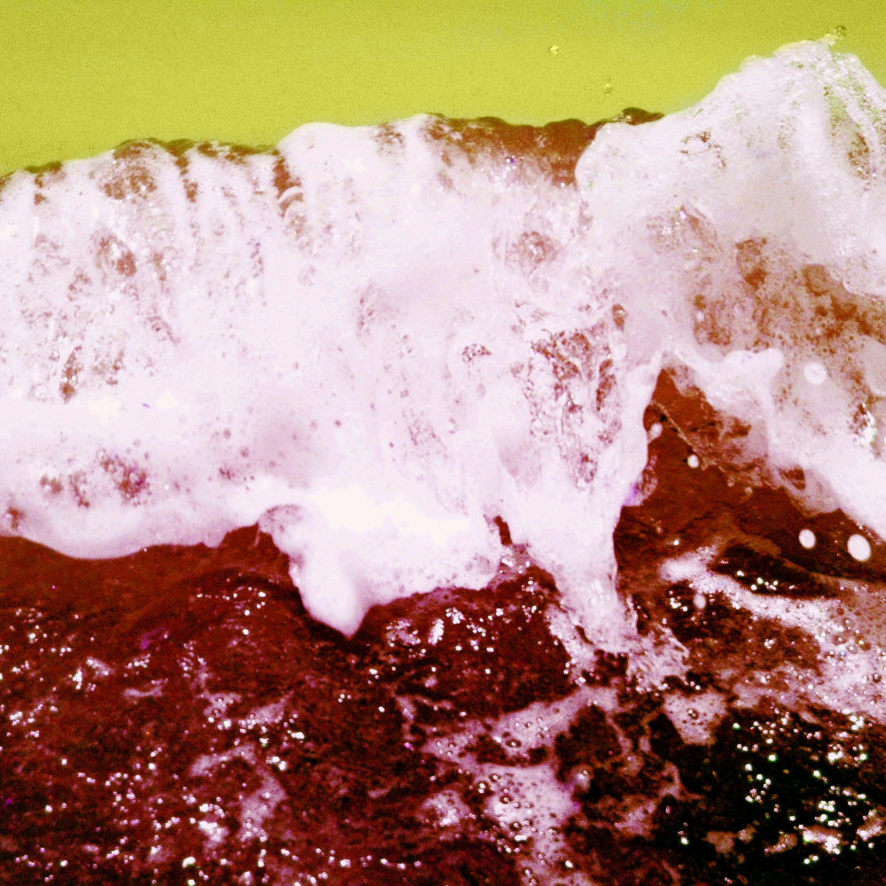 Cellular Memories Exhibition 26 - 34