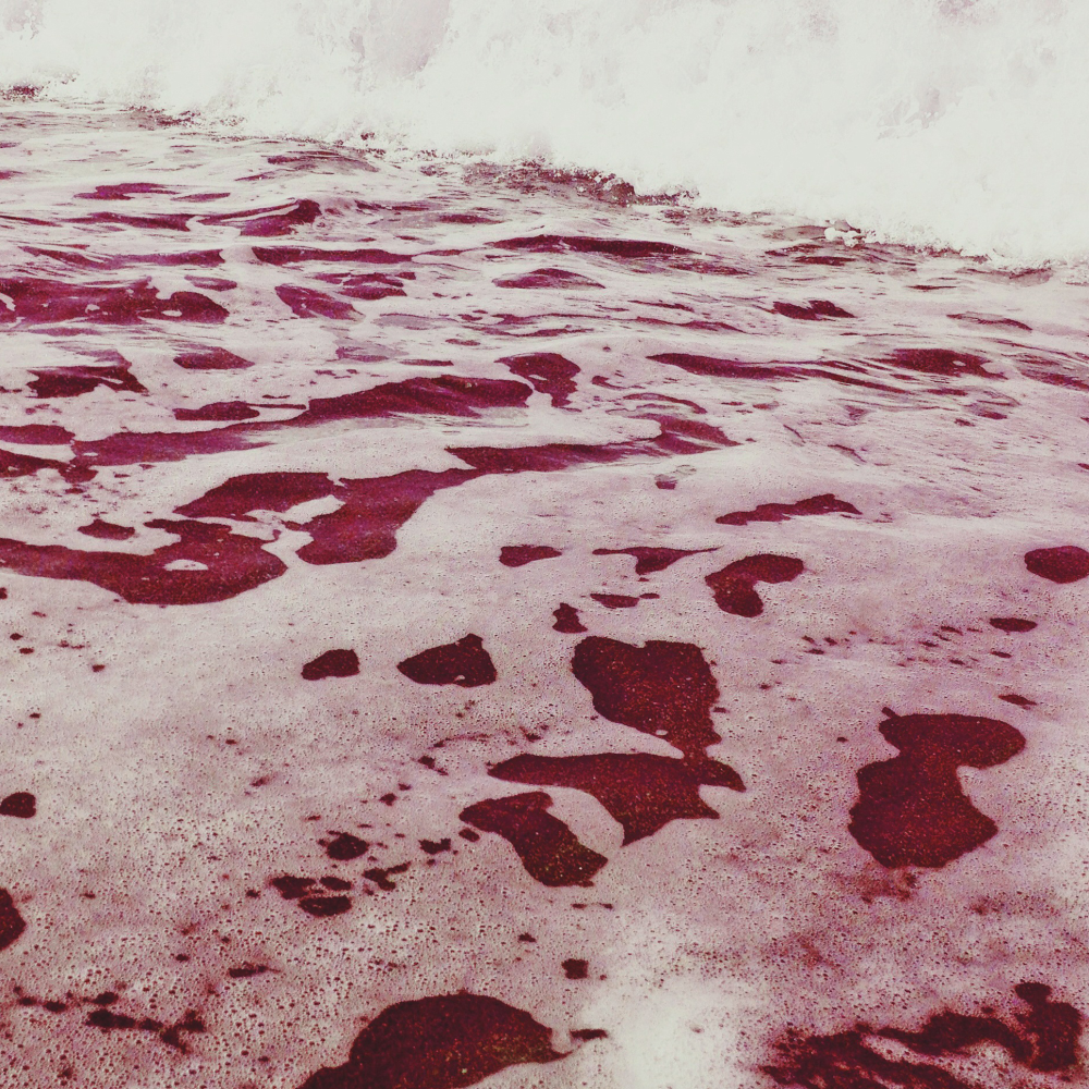 Cellular Memories Exhibition 26 - 63