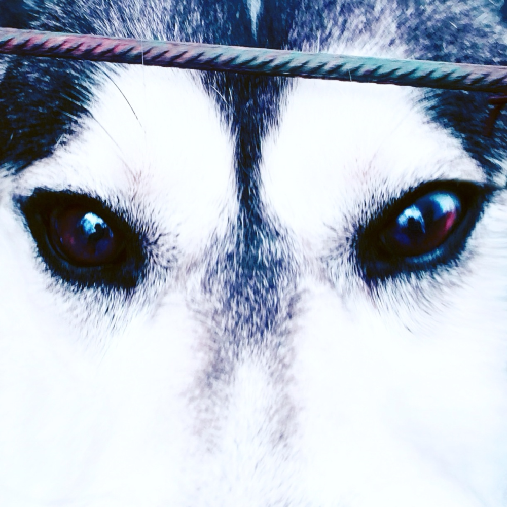 Cellular Memories Exhibition 26 - 65