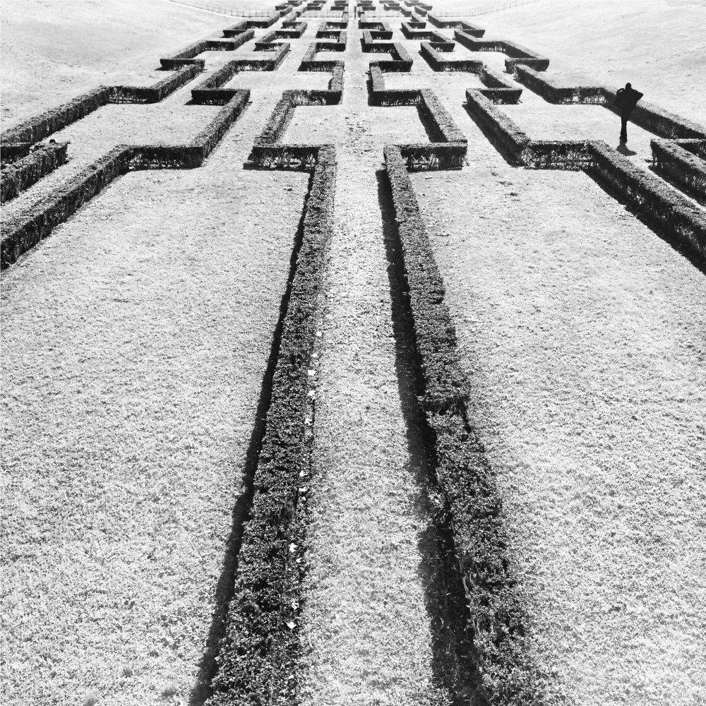 Cellular Memories Exhibition 26 - 71