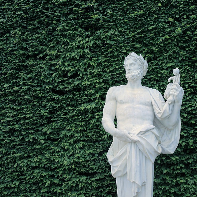 Cellular Memories Exhibition 26 - 8