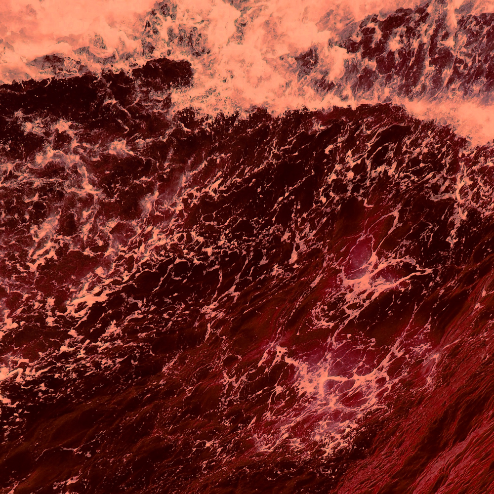 Cellular Memories Exhibition 26 - 82