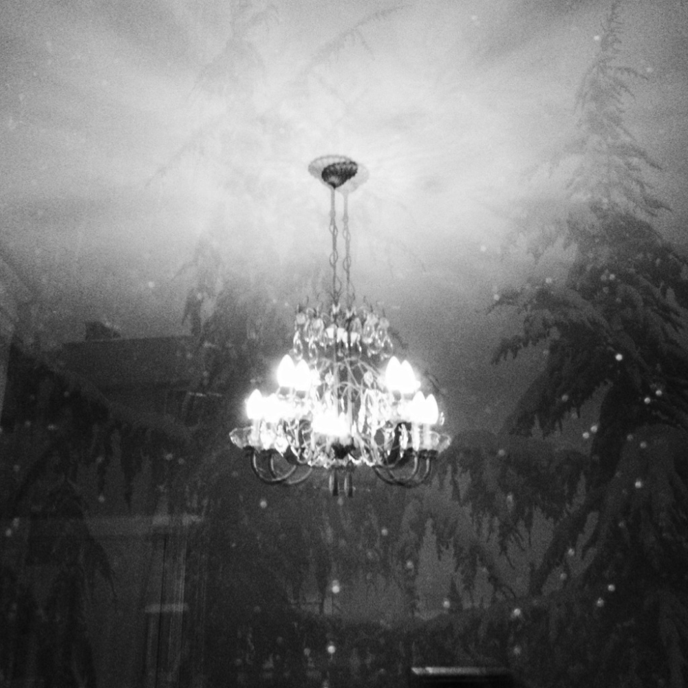 Cellular Memories Exhibition 26 - 87