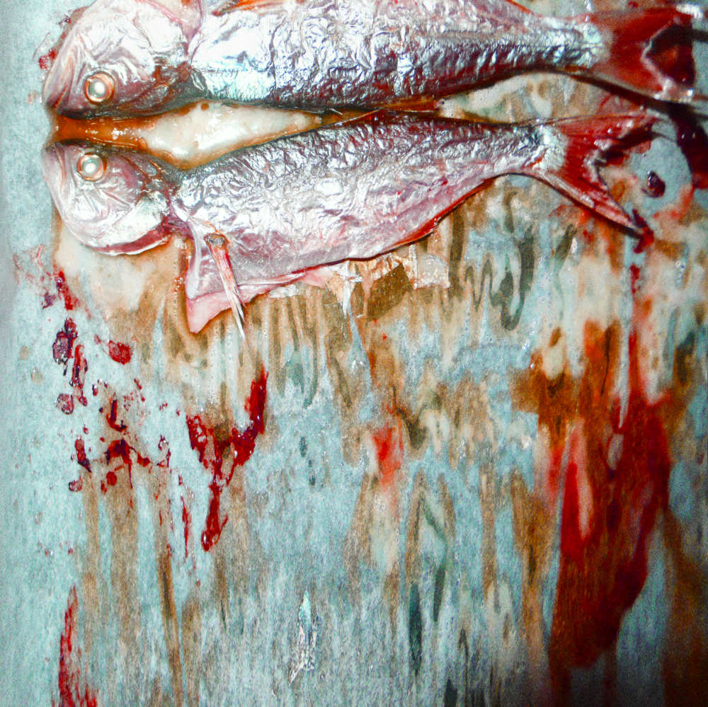 Cellular Memories Exhibition 26 - 94