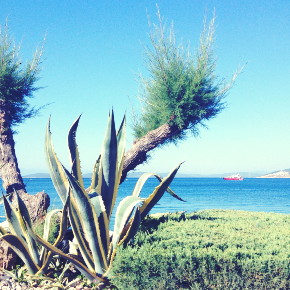 Cellular Memories Exhibition 26 - 98