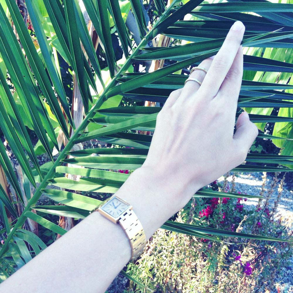 Limited Edition - 117