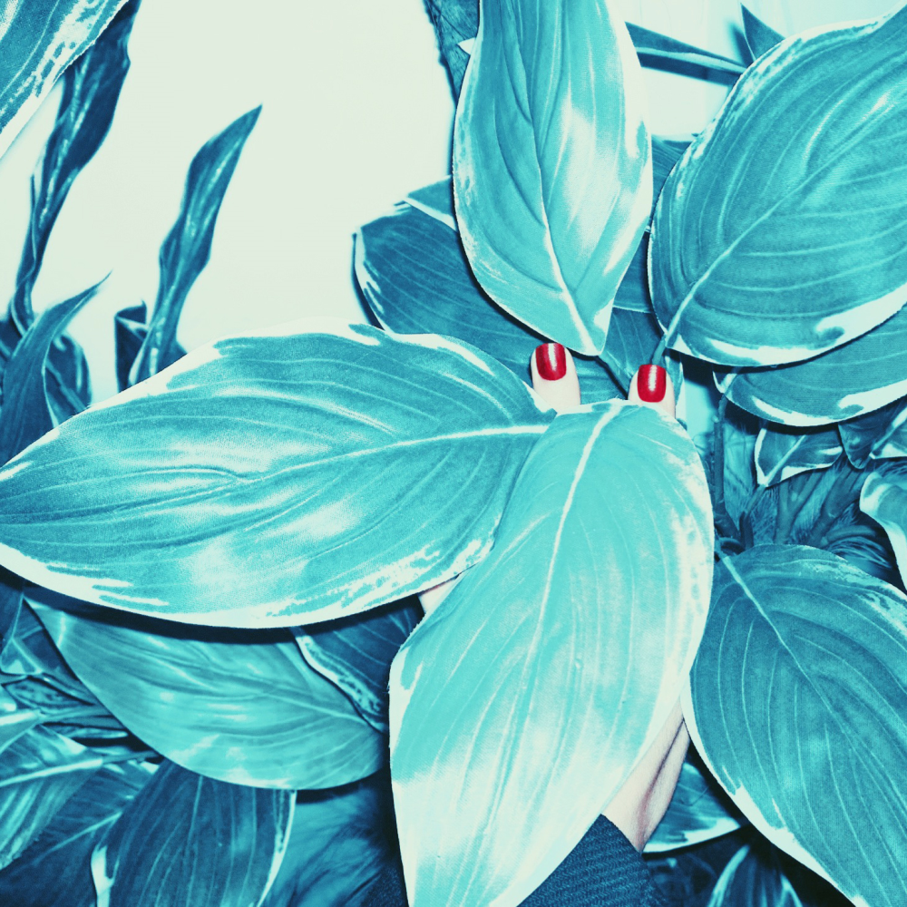 Limited Edition - 45